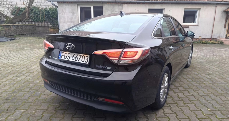 Hyundai Sonata cena 64900 przebieg: 136000, rok produkcji 2017 z Gostyń małe 379